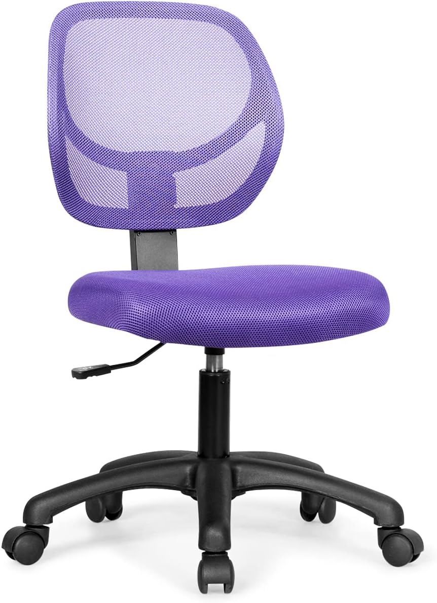 Kids Office Chair, Low-back Students Desk Chairs with Lumbar Support