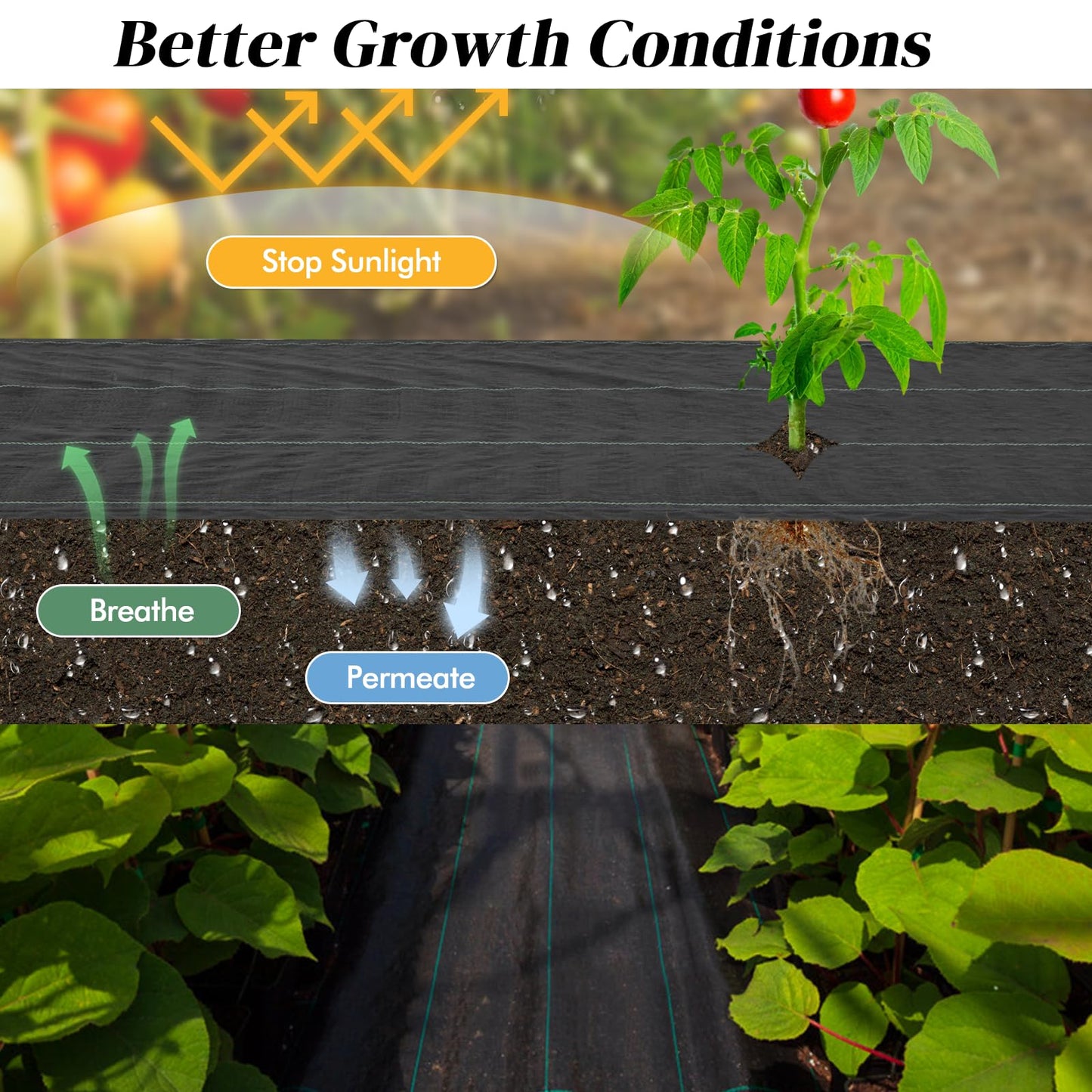 GiantexUK 50mx1m/25mx2m Weed Control Membrane