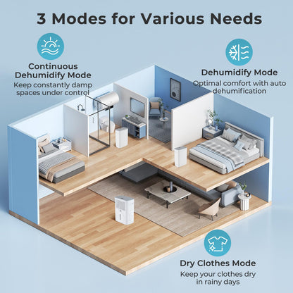 24L/Day Dehumidifier, Electric Compressor Dehumidifiers with Continuous Drainage