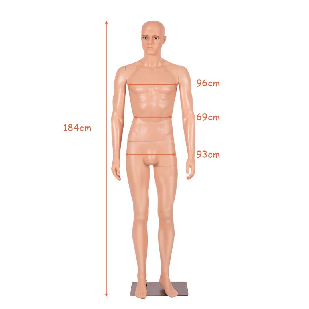 GiantexUK 184cm Male Mannequin, Detachable Full Body Dress Form with Metal Base