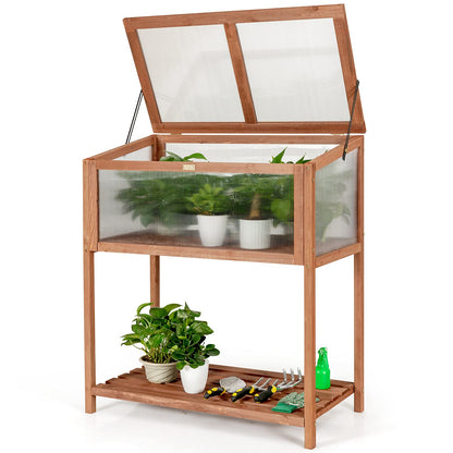 GiantexUK Wooden Cold Frame Greenhouse, Transparent Flower Plant Growhouse with Adjustable Cover and Storage Shelf