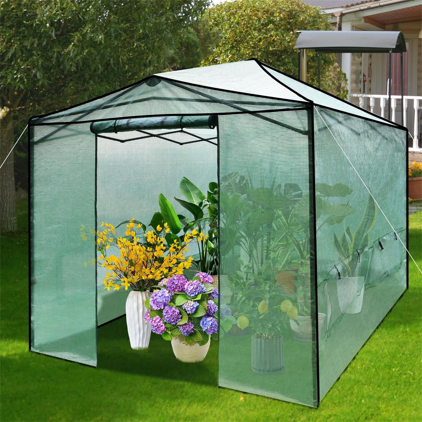 GiantexUK Pop-up Walk In Greenhouse, Adjustable Grow House with PE Cover, 6 Roll up Windows