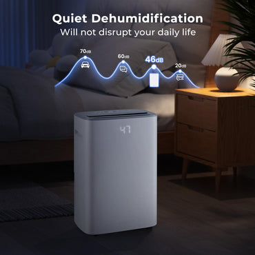 24L/Day Dehumidifier, Electric Compressor Dehumidifiers with Continuous Drainage