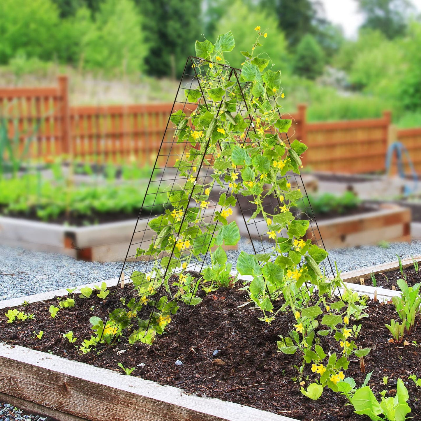 GiantexUK 2-Pack Garden Cucumber Trellis, 4x3FT A-Frame Plant Supports with Twist Tie, 8 Spiral Connectors